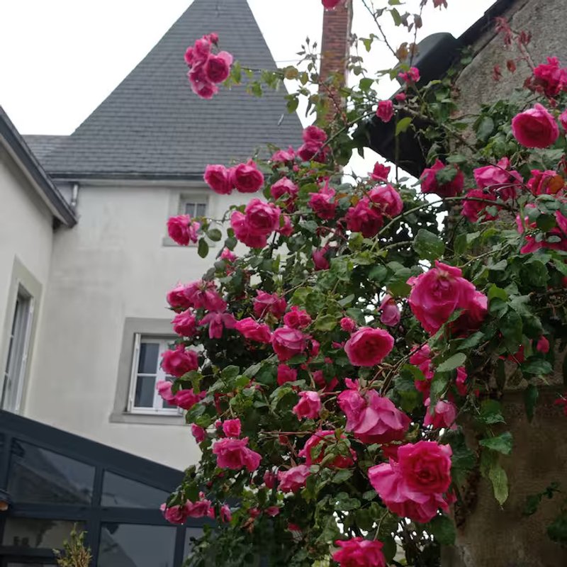 Photo de test 1